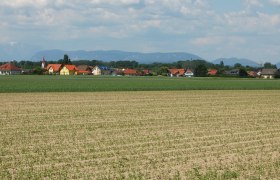Landschaft mit Feldern und Dorf im Hintergrund, Berge am Horizont.