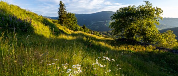Weitwanderweg M&ouml;nichkirchen, &copy; Wiener Alpen / Kremsl