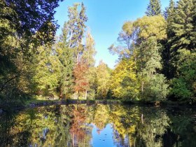 Idyllischer Spazierweg zu den Sachsenbrunner Teichen, &copy; Wiener Alpen in Nieder&ouml;sterreich - Wechsel