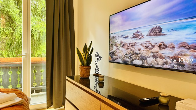 Gemütliches Zimmer mit TV, Kommode, Pflanze und Balkonblick.