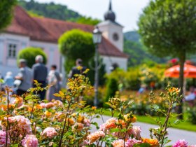 Rosengarten mit Pfarrhof Pitten, © Wiener Alpen, Christian Kremsl