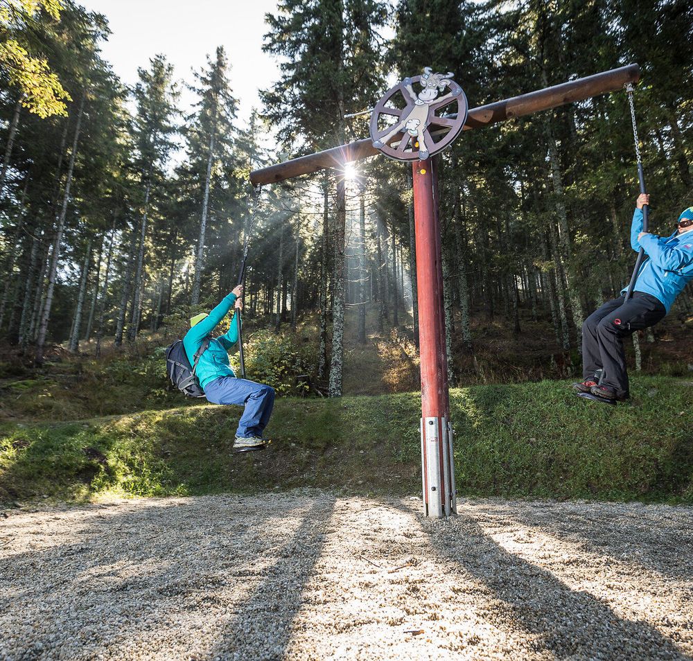 Inmitten der majestätischen Wiener Alpen schwingen zwei Abenteurer fröhlich auf den Schaukeln, umgeben von dichten Wäldern und dem sanften Licht der Sonne. Der Schaukelweg bietet nicht nur Spaß, sondern auch atemberaubende Ausblicke auf die umliegende Natur, die zum Wandern einlädt.