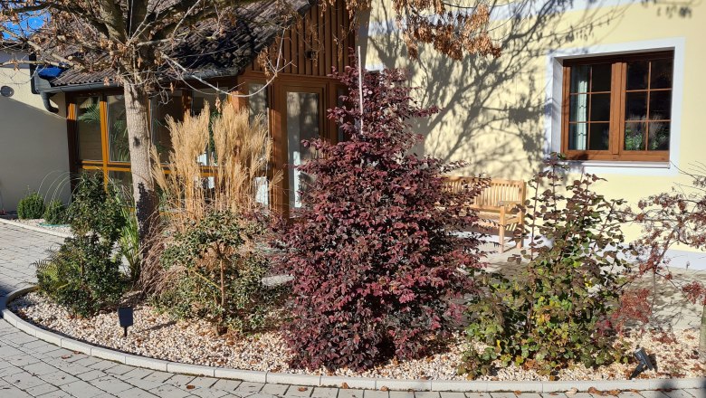 Gartenansicht eines Ferienhauses mit Pflanzen und Bäumen vor gelber Fassade.