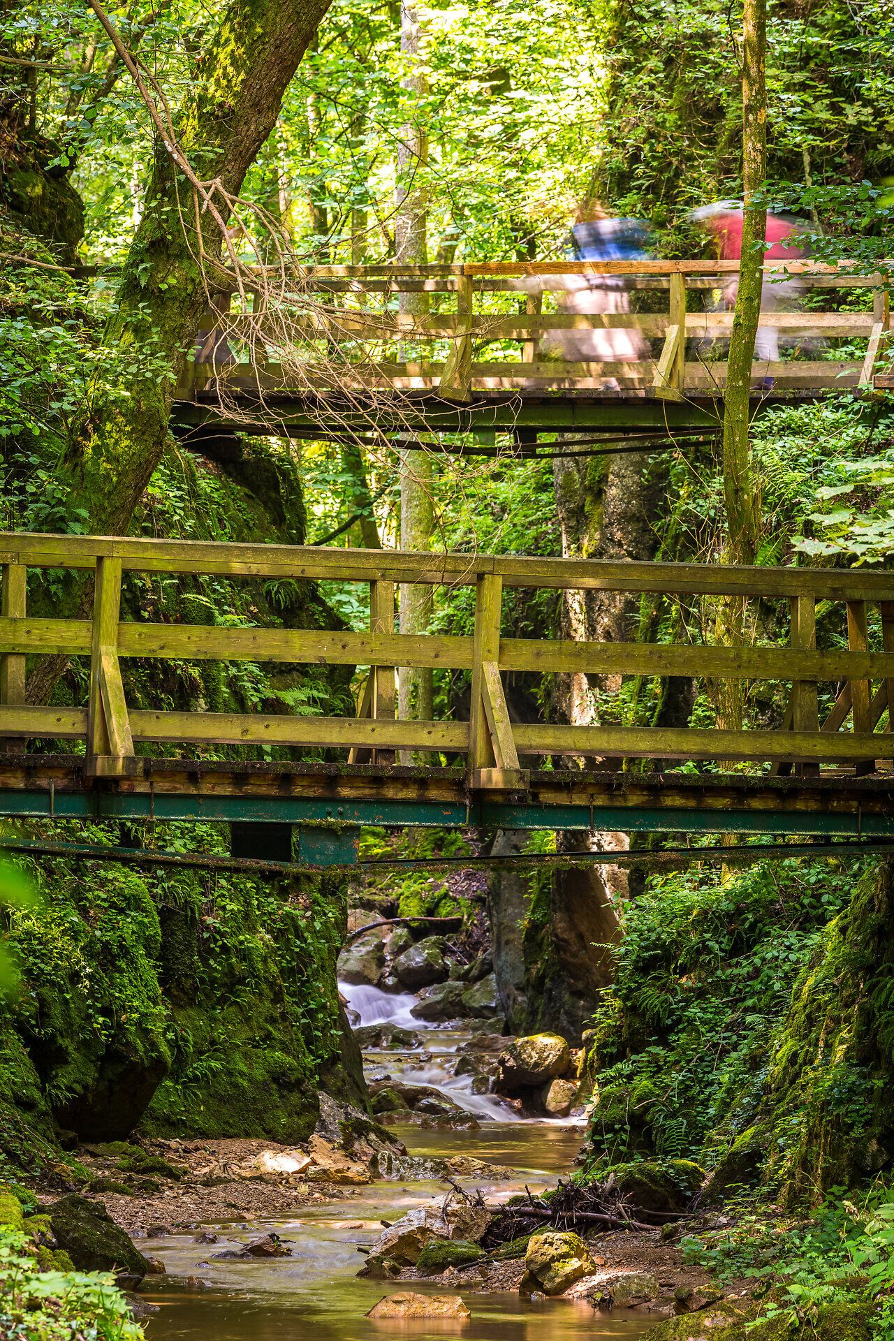 DIe Johannesbachklamm in Würflach ist auch an heißen Sommertagen ein ideales Ausflugsziel.