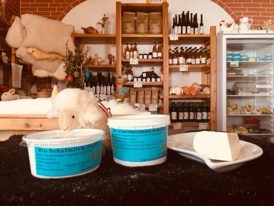 Innenansicht eines Hofladens mit Bio-Produkten aus Schafmilch.