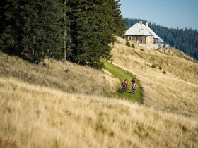 Feistritzer Schwaig Route by Wexl Trails #10, © Wexl Trails