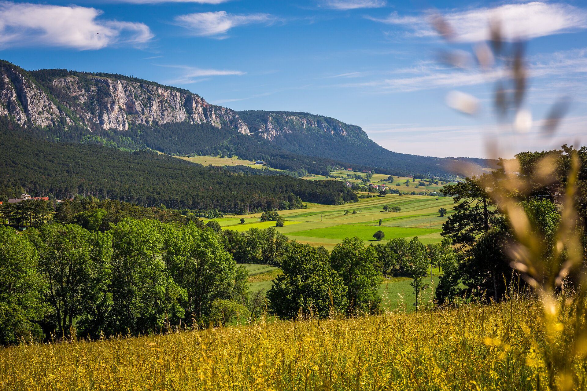 Imposanter Blick auf die Hohe Wand von Kienberg Zweiersdorf mit blühenden Feldern im Vordergrund