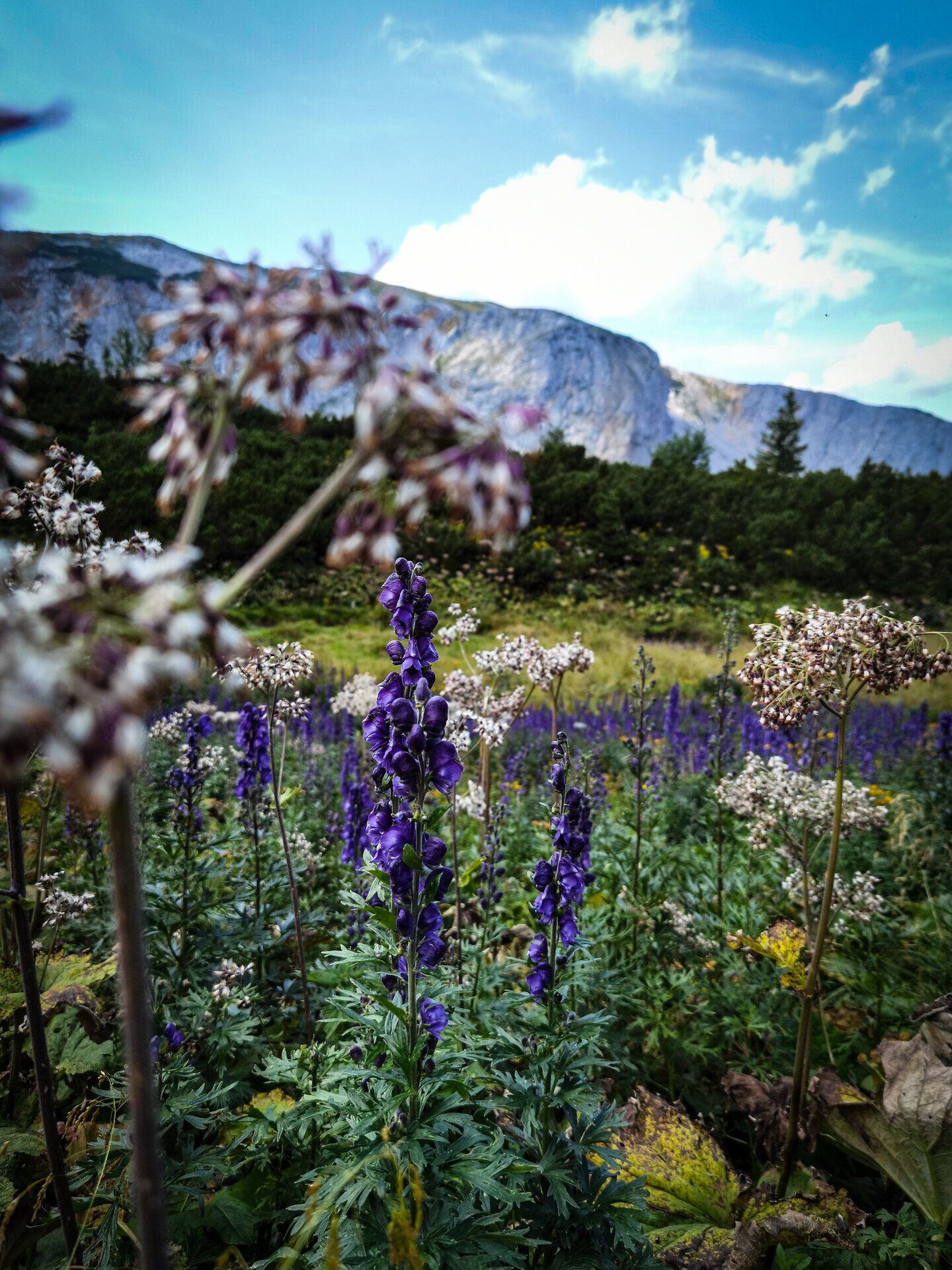 Rax, Wiener Alpen in Niederösterreich