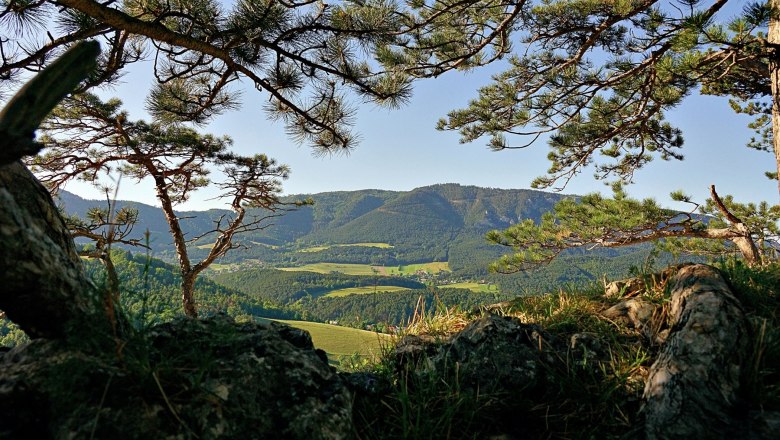 View through trees to the Vienna Alps with green hills and a clear sky.