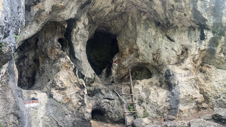 Felswand mit L&ouml;chern und einer Holzleiter.