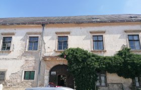 Old building overgrown with ivy and a classic white car in front of it.