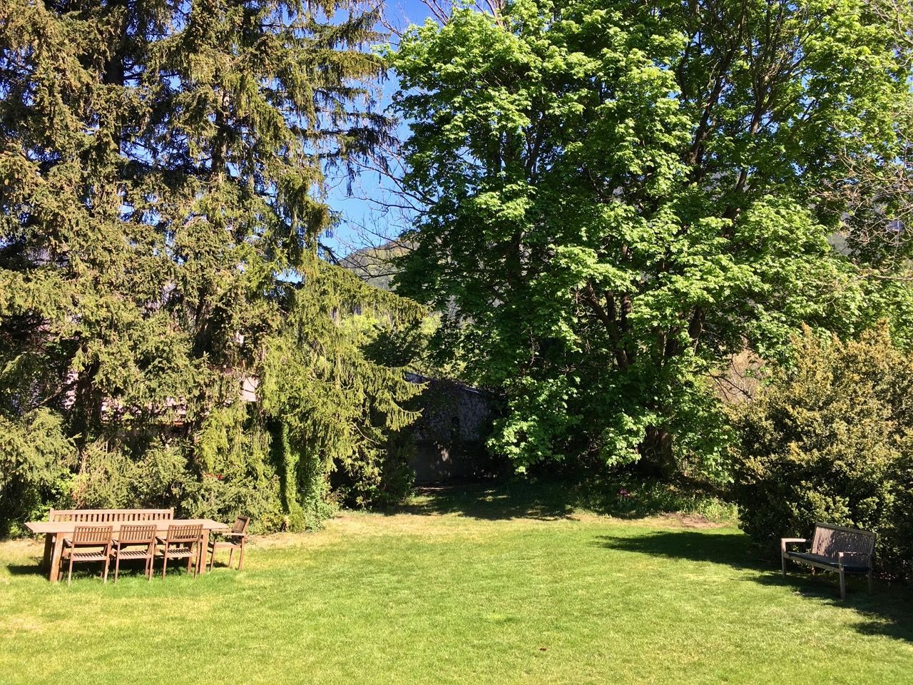 Ein grüner Garten mit Holztisch und Stühlen unter großen Bäumen.