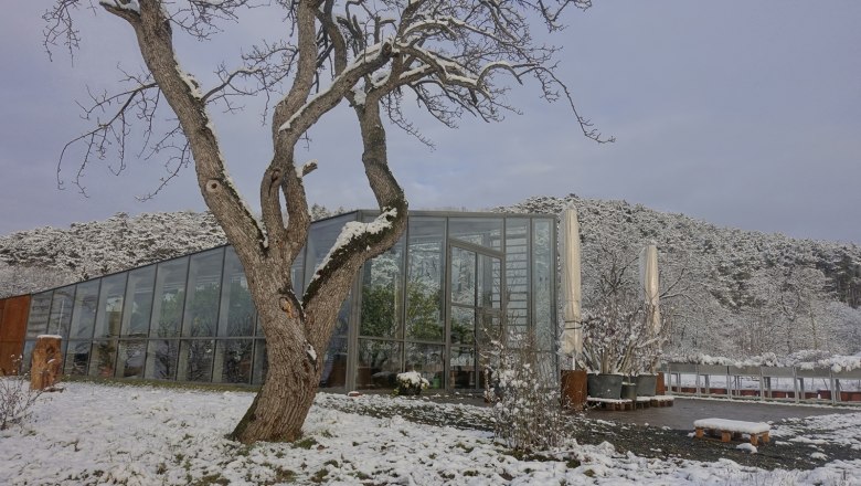 Eine moderne Orangerie im Winter, umgeben von schneebedeckten Bäumen und Hügeln.