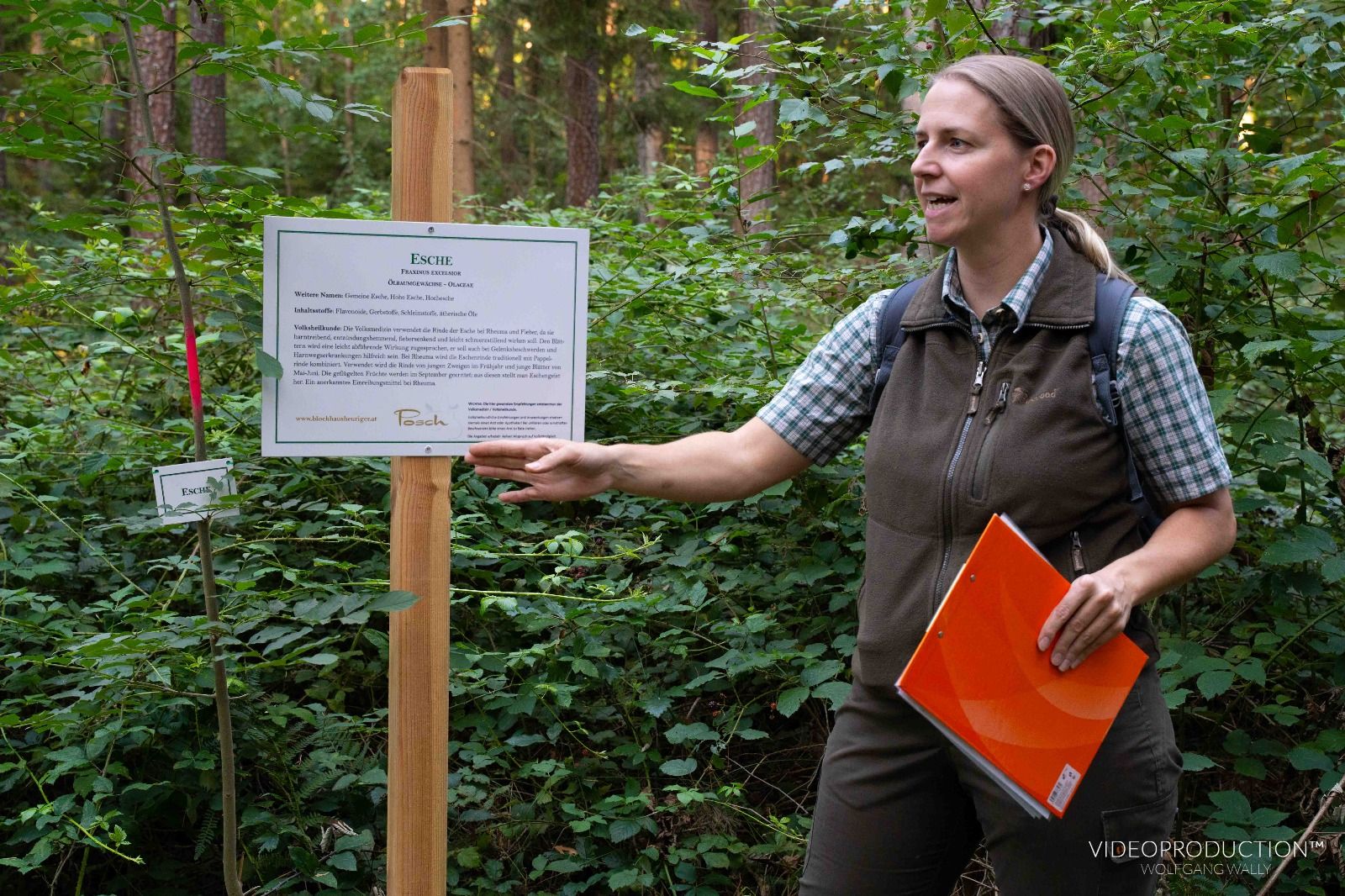 Eine Frau erklärt auf einem Lehrpfad im Wald ein Schild über Eschen.