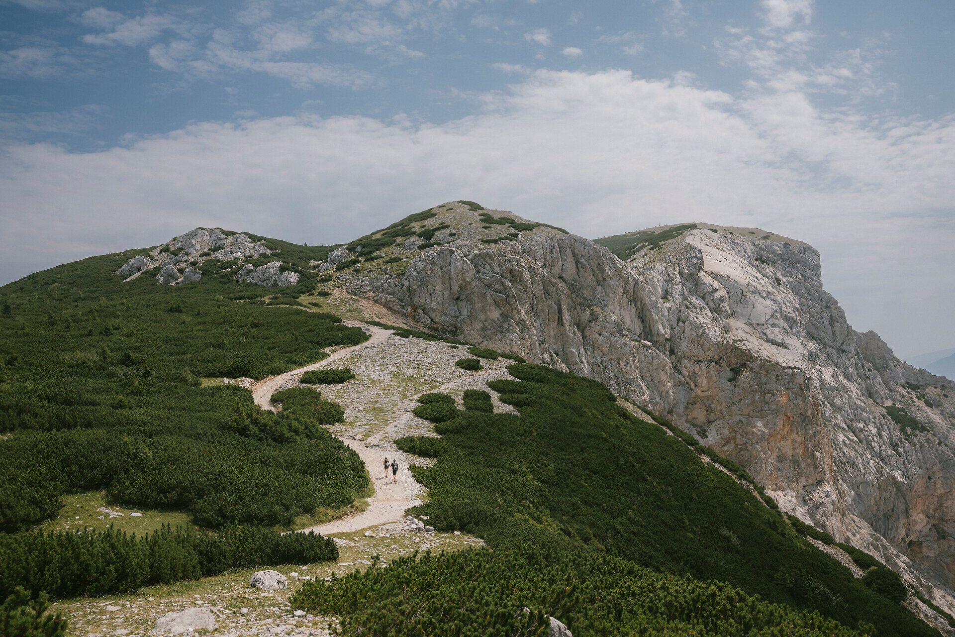 Wanderweg durch Latschen zu den felsigen Höhen der Rax