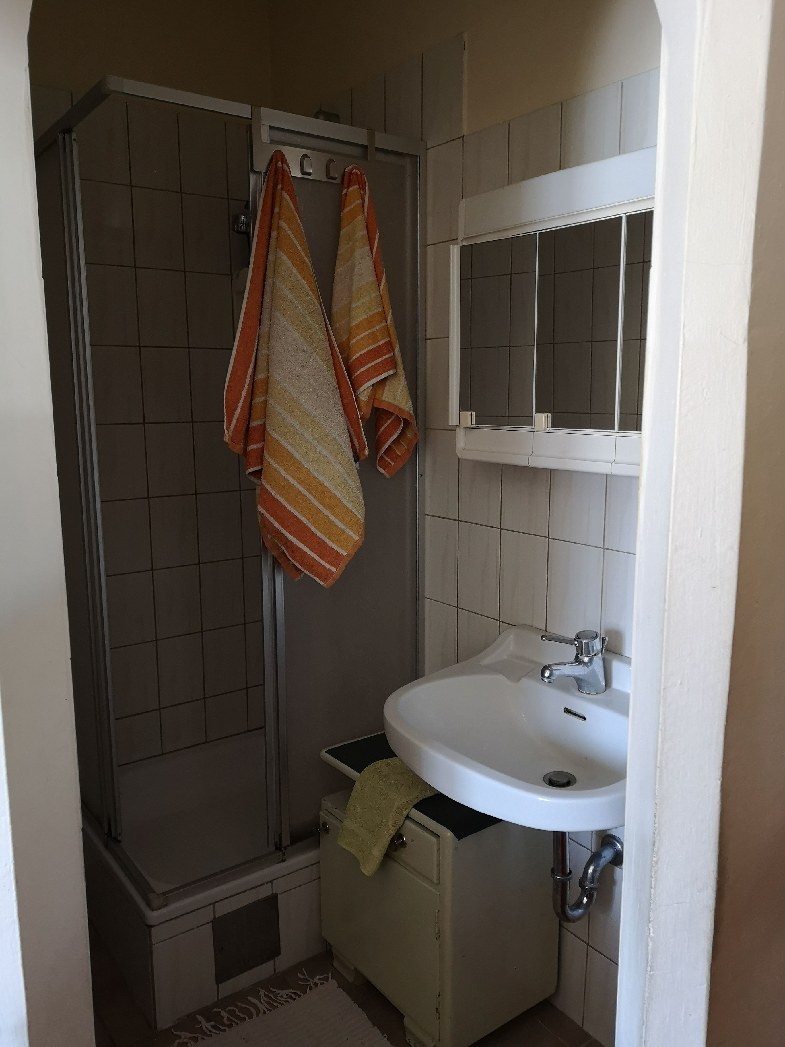 Kleines Badezimmer mit Dusche, Waschbecken und Handtüchern.