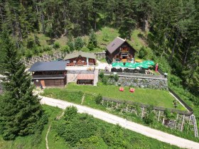 Luftaufnahme der Potschacherhütte in einem Waldgebiet mit umliegenden Bäumen und einer Terrasse mit Sonnenschirmen.