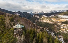 Aussichtsturm im Wald mit Berglandschaft im Hintergrund.