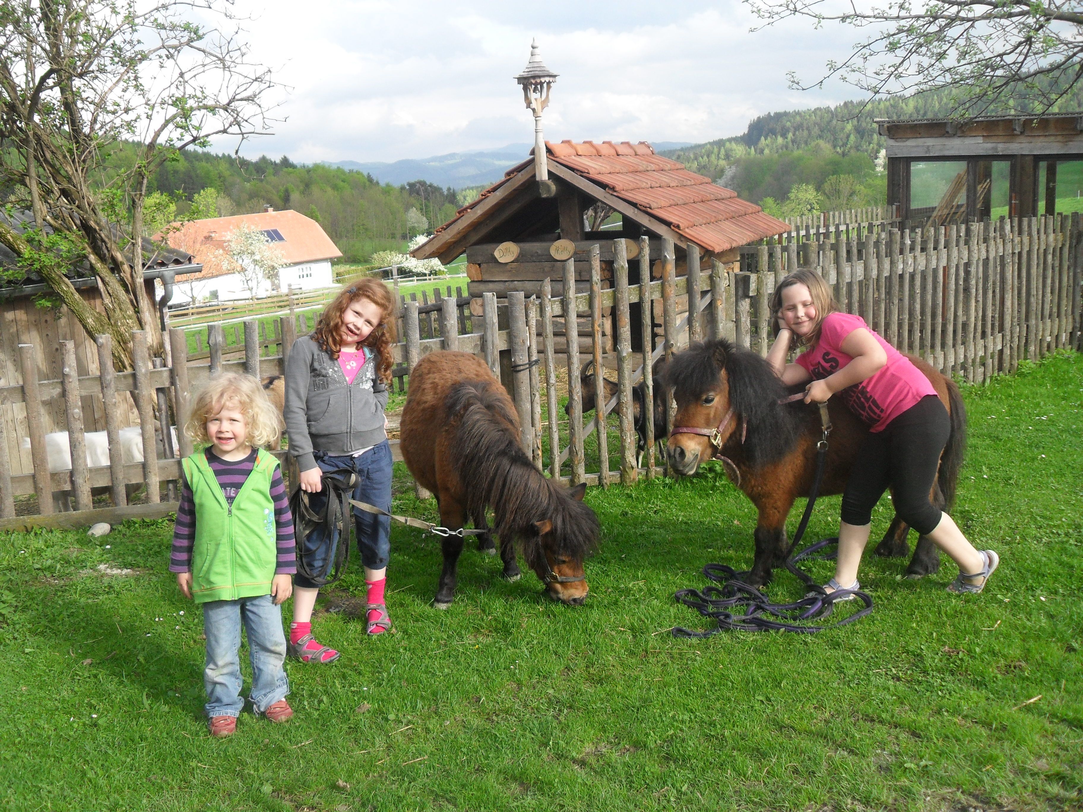 Drei Kinder mit zwei Ponys auf einer Wiese vor einem Holzzaun.