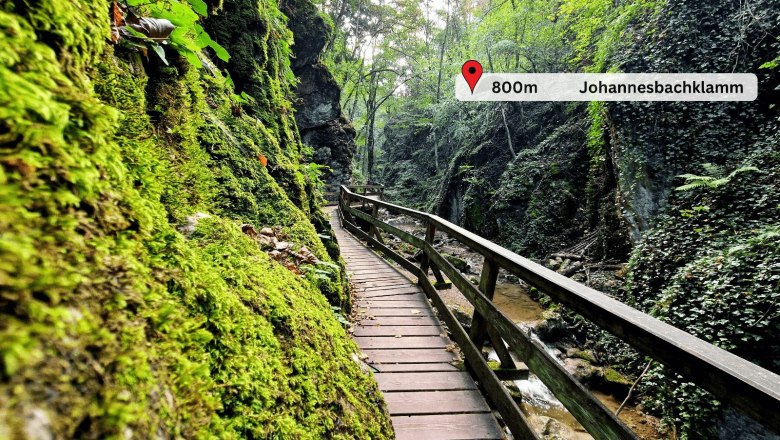 Wooden footbridge in the green Johannesbachklamm gorge with moss and plants on the rock faces.