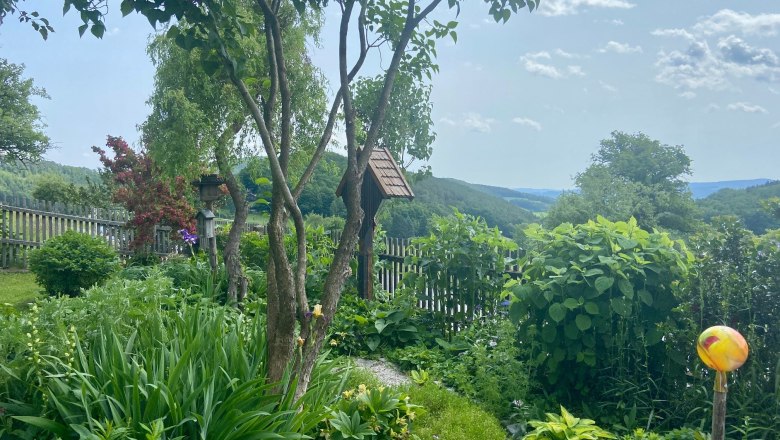 Ein grüner Garten mit Bäumen, Sträuchern und einem Holzzaun im Hintergrund.