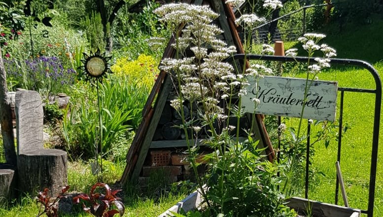 A herb bed in an old bedstead in the garden, surrounded by trees and plants.