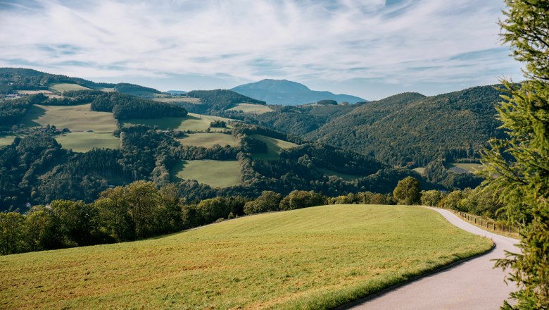 Panoramablick auf eine hügelige Landschaft mit grünen Wiesen und bewaldeten Hügeln unter einem blauen Himmel.