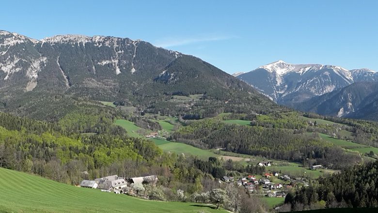 Panorama einer grünen Landschaft mit Bergen im Hintergrund.