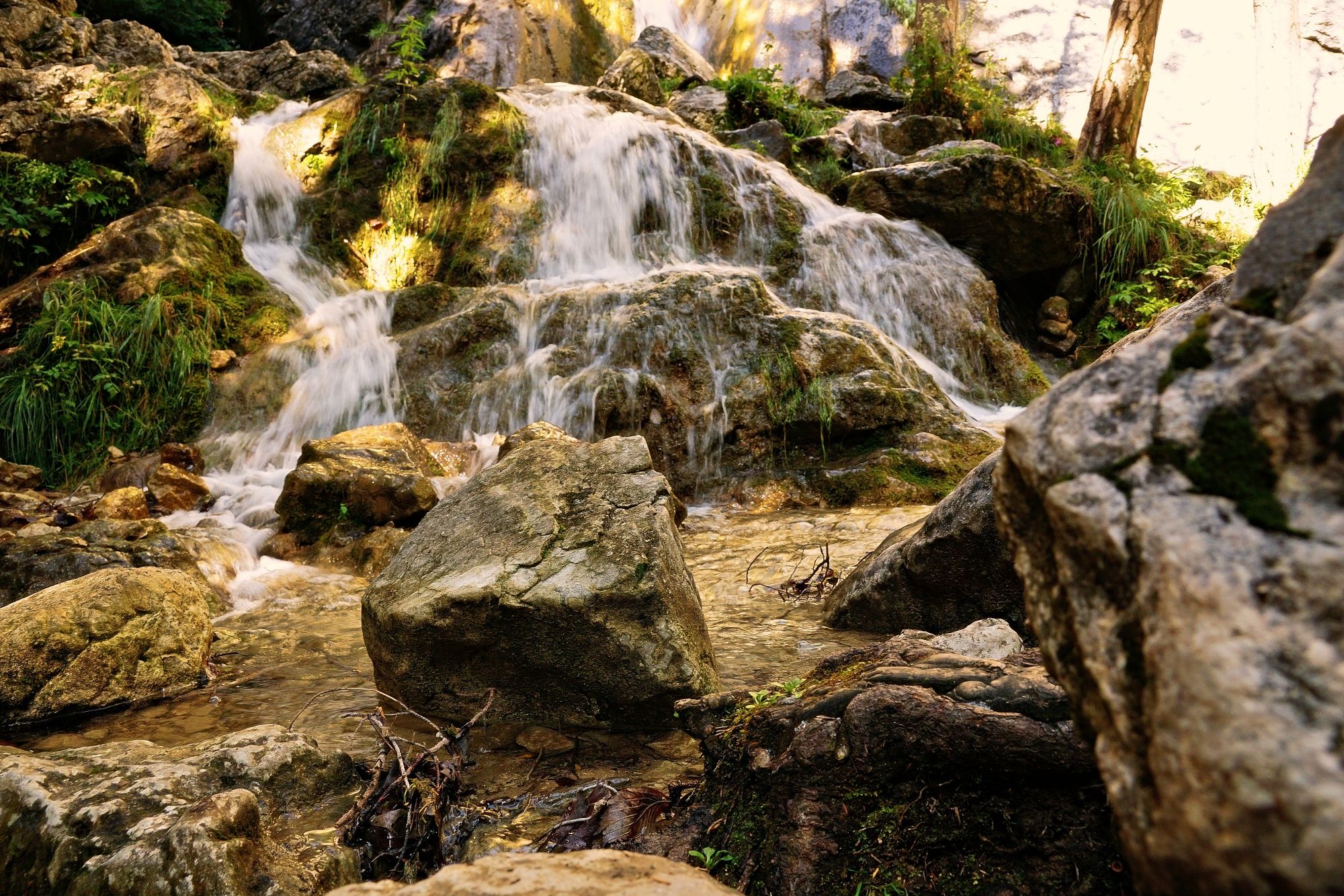 Ein kleiner Wasserfall fließt über moosbedeckte Felsen in einem Wald.