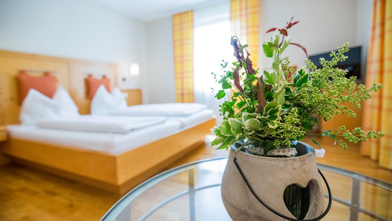 A double room with a bed in the background and a plant in a pot in the foreground.