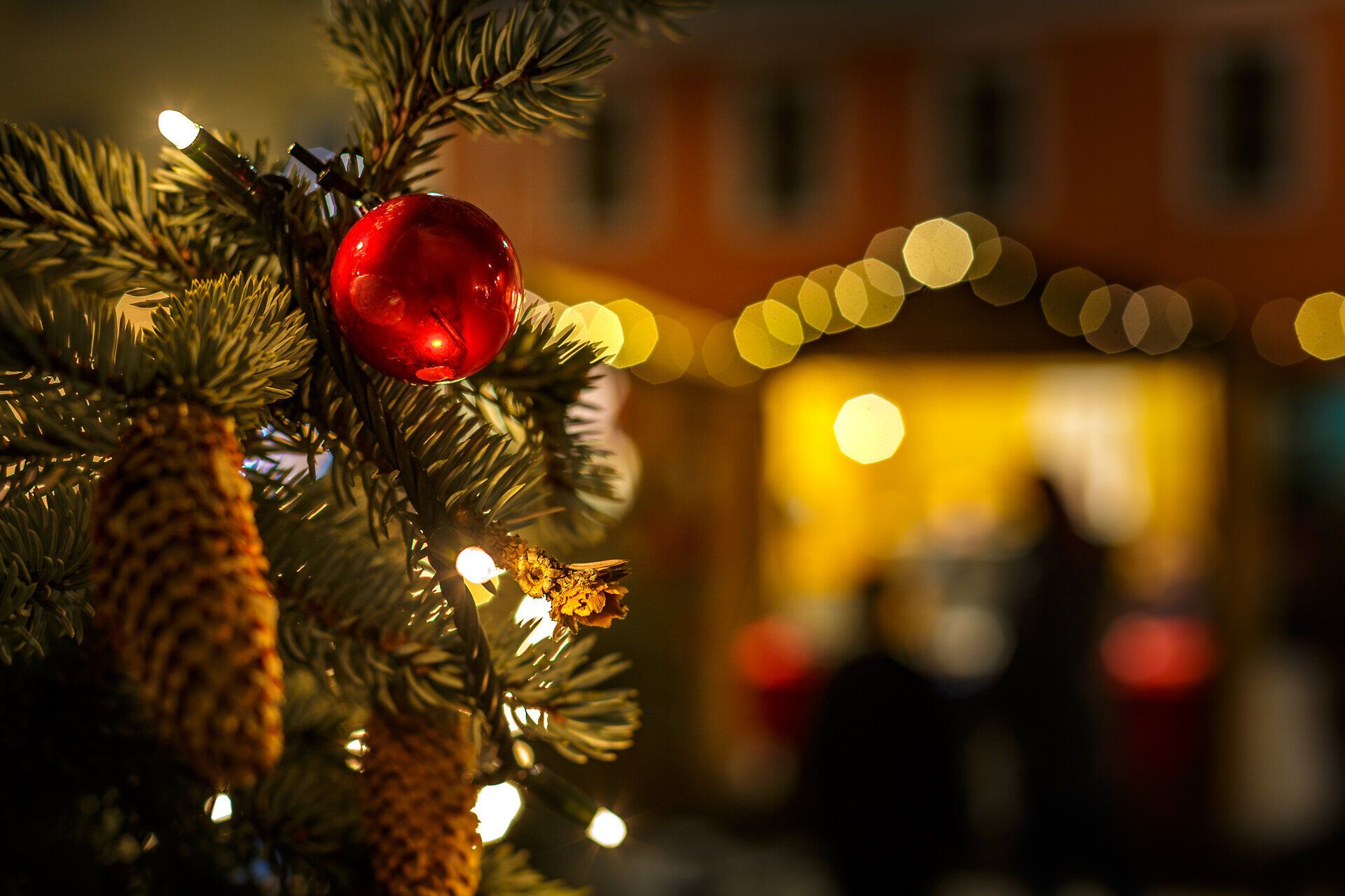 Adventmarkt vor dem Dom in Wiener Neustadt
