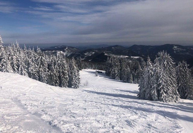 Verschneite Skipiste mit Tannenbäumen am Unterberg.