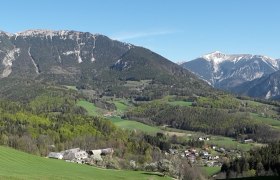 Panorama of a green landscape with mountains in the background.