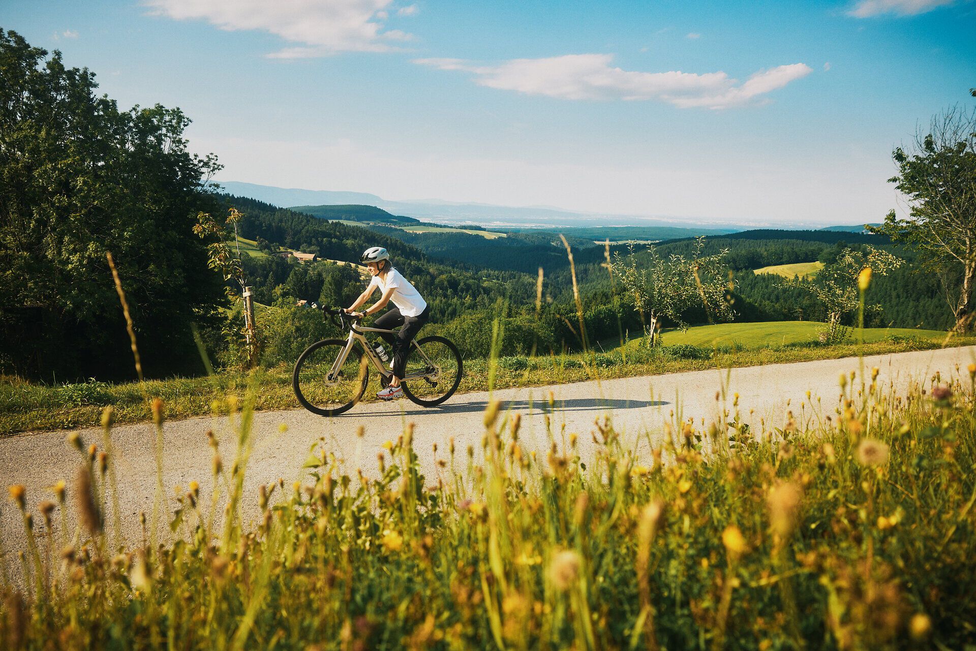 Radfahrenauf der Weitblickroute in der Buckligen Welt