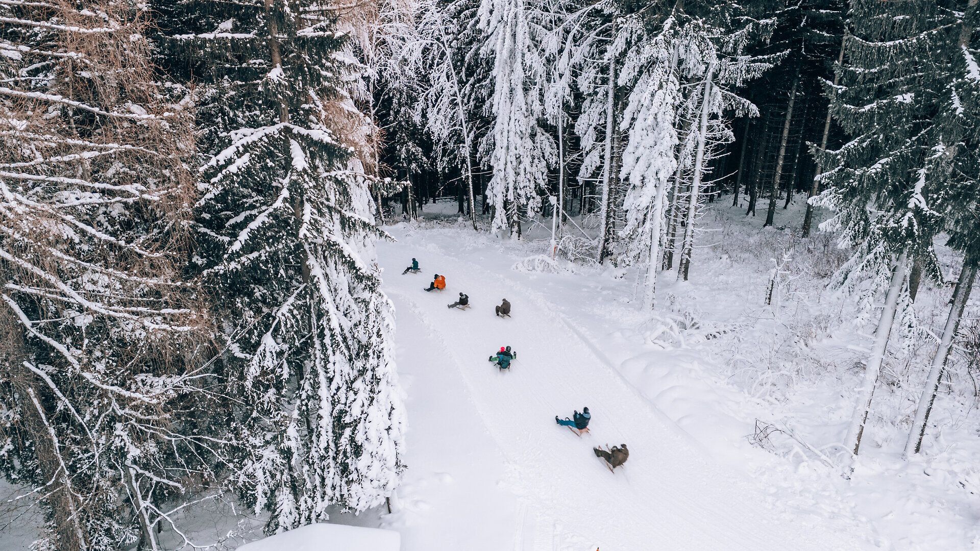 Rodler fahren auf einer verschneiten Rodelbahn durch den Winterwald am Semmering Hirschenkogel.
