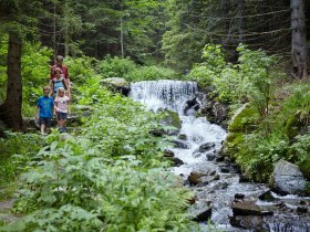 Themenweg Wildwasser in Mariensee, &copy; Wiener Alpen/ Florian Lierzer