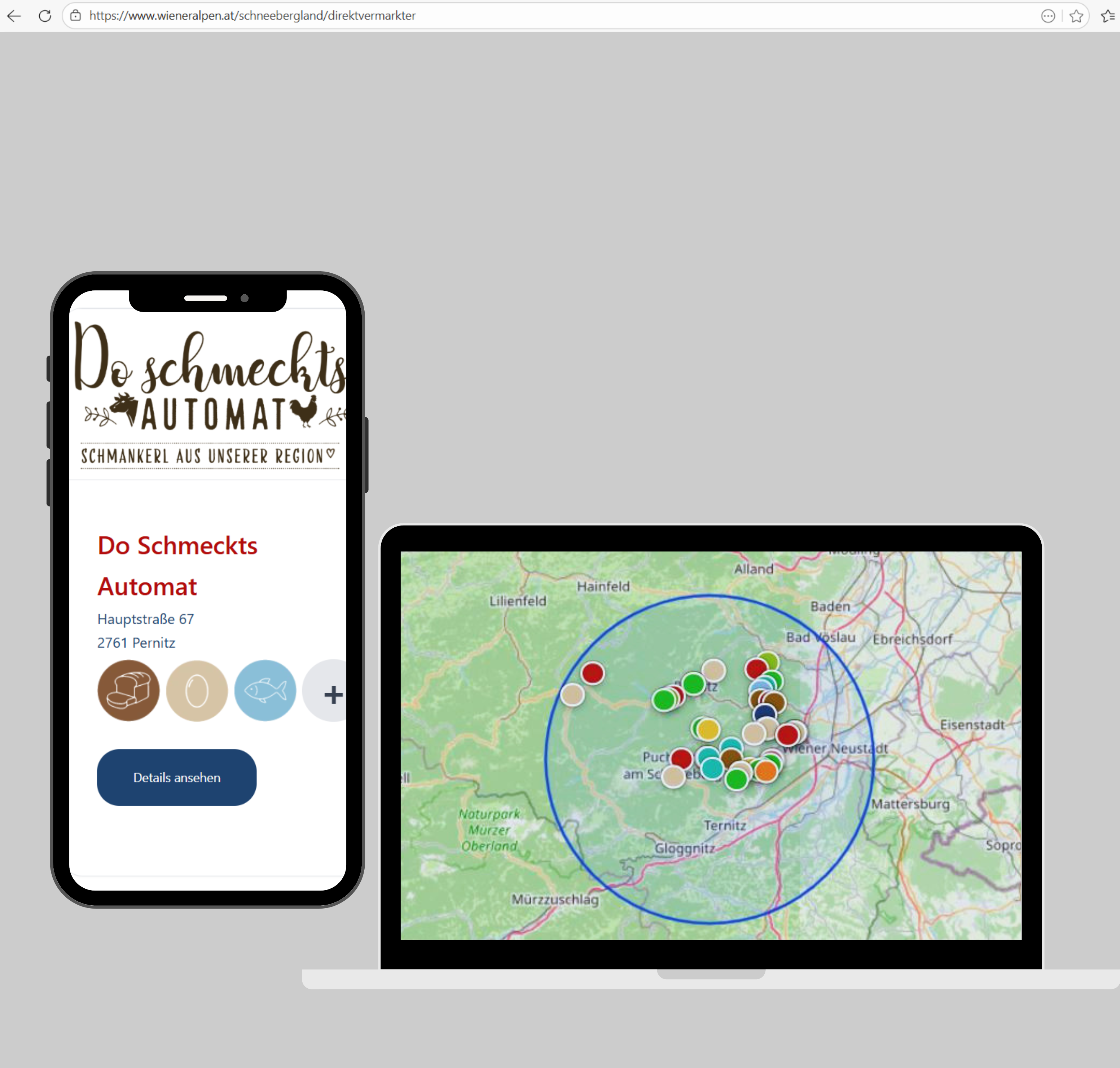 Webseiten Ansicht auf Laptop und Handy