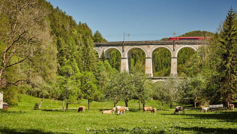Semmeringská železnice, © Niederösterreich-Werbung/Michael Liebert