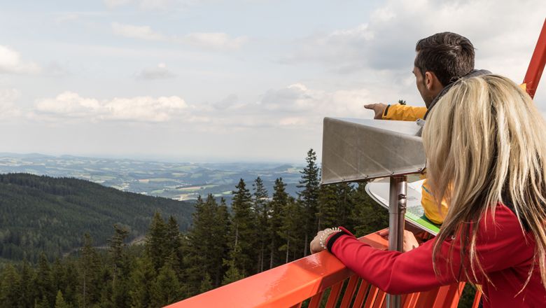 Zwei Personen auf einer Aussichtsplattform blicken über eine bewaldete Landschaft.
