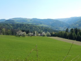 Wandern mit Aussicht in Edlitz | Bucklige Welt, © Wiener Alpen in Niederösterreich - Bad Schönau