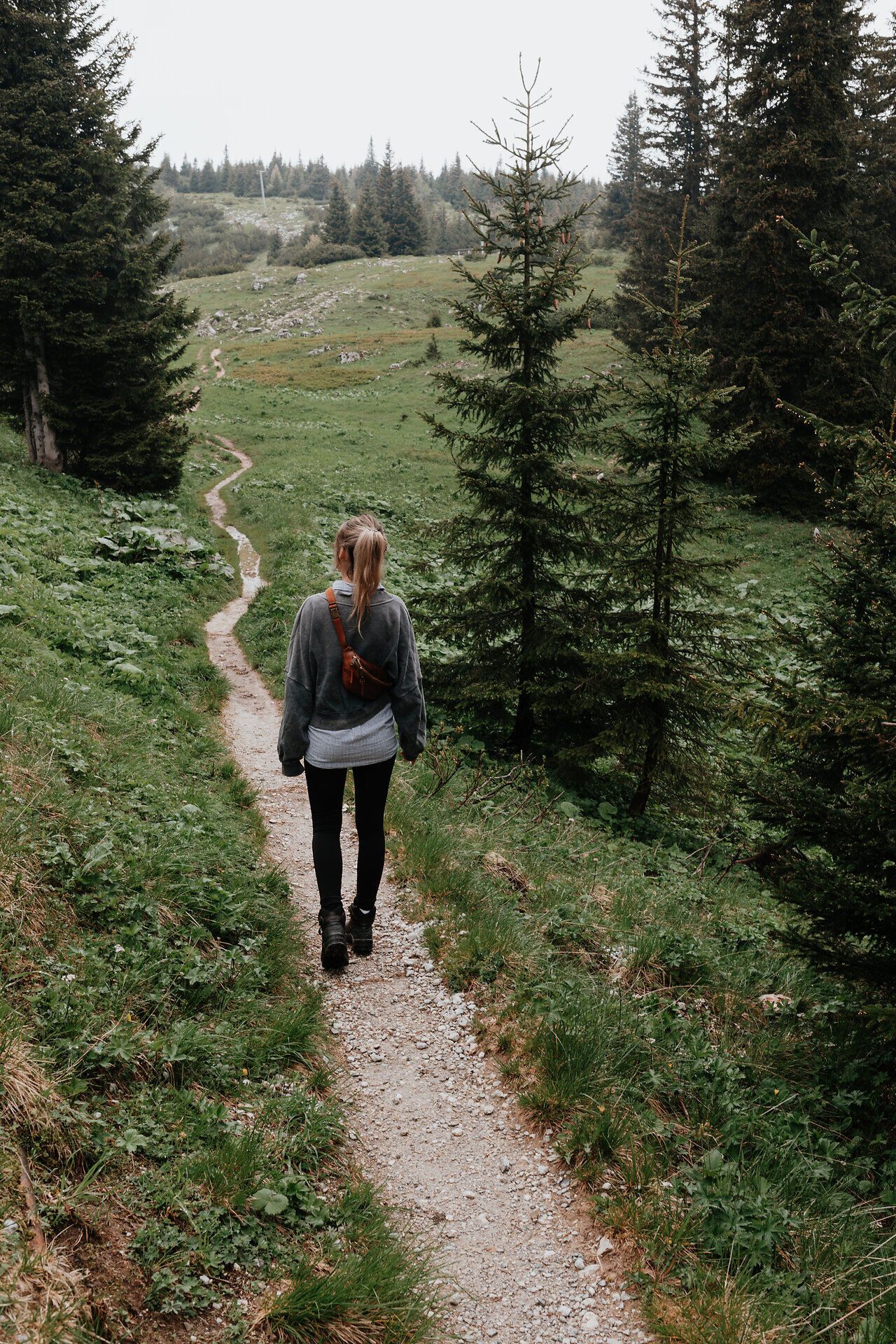 Ein sanfter Wanderweg schlängelt sich durch die üppige, grüne Landschaft, umgeben von majestätischen Nadelbäumen. Die frische Bergluft und das sanfte Plätschern eines nahen Baches laden dazu ein, die Seele baumeln zu lassen und die Schönheit der Natur zu genießen.