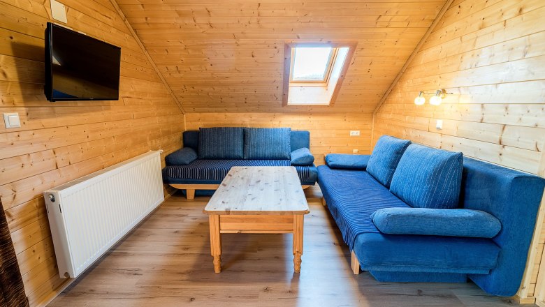 Wohnzimmer mit Holzw&auml;nden, blauen Sofas, Holztisch und Dachfenster.