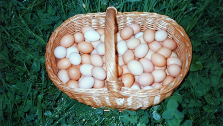 Eier von glücklichen Hühnern, © Monika`s Hühnerhof