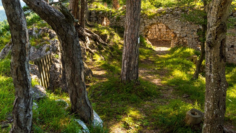 Ruinenmauer mit Torbogen im Wald, umgeben von B&auml;umen und Gras.