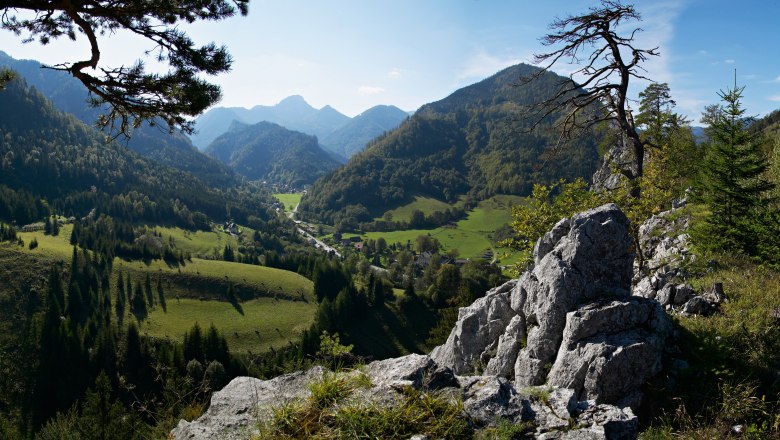 Naturpark Falkenstein, © Wiener Alpen, Foto: Franz Zwickl