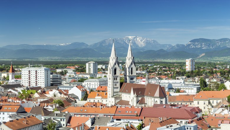 Panorama von Wiener Neustadt mit dem Dom und Bergen im Hintergrund.