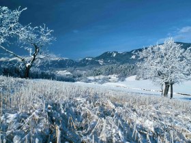 Prigglitz im Winter, © Gemeinde Prigglitz