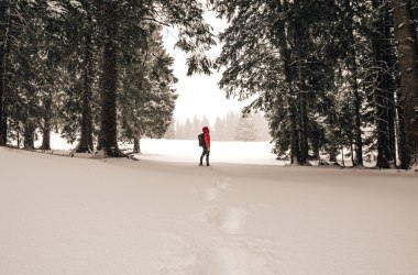 Frau wandert im verschneiten Wald 