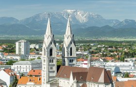 Wiener Neust&auml;dter Dom, &copy; Wiener Alpen, Franz Zwickl
