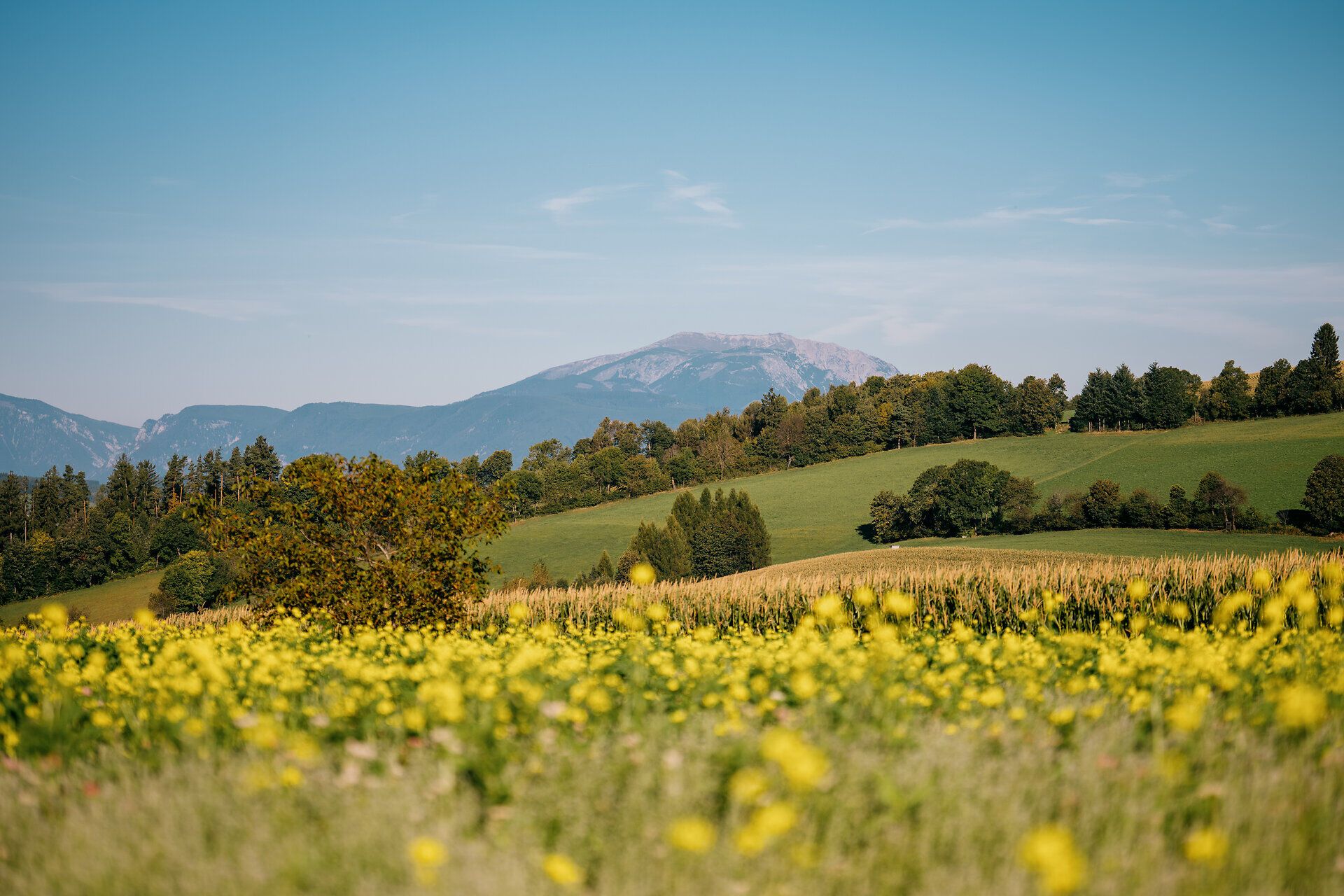 Landschaftsaufnahmen im Herbst von der Buckligen Welt